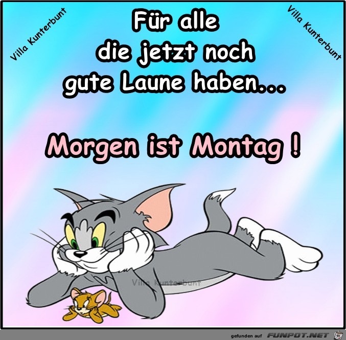 Morgen ist Montag Morgen ist Montag