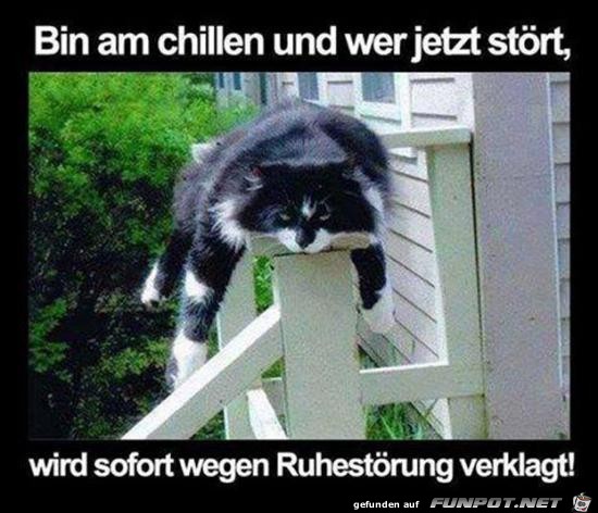 bin am chillen und wer jetzt strt.......