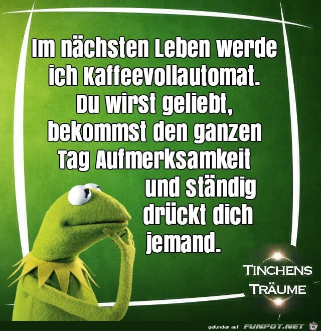Im naechsten Leben Im naechsten Leben