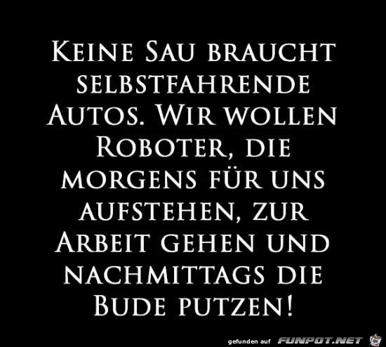 keine Sau braucht selbstfahrende Autos........ keine Sau braucht selbstfahrende Autos........