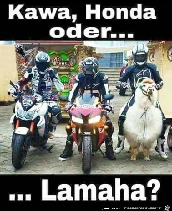 Die Qual der Wahl Die Qual der Wahl
