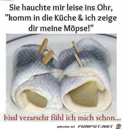 Moepse anschauen