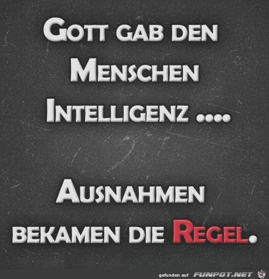 Gott gab den Menschen Intelligenz....... Gott gab den Menschen Intelligenz.......