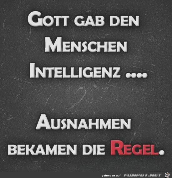 Gott gab den Menschen Intelligenz.......