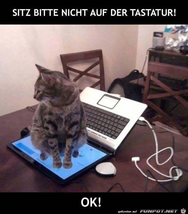 Sitz bitte nicht Sitz bitte nicht