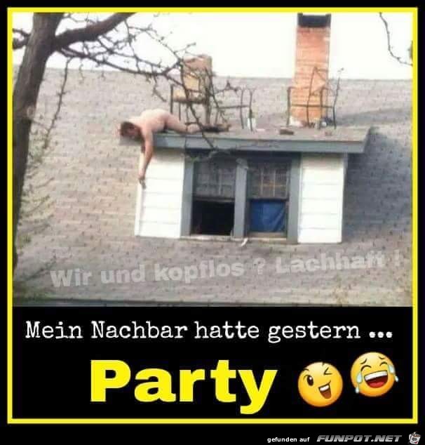 Party Party