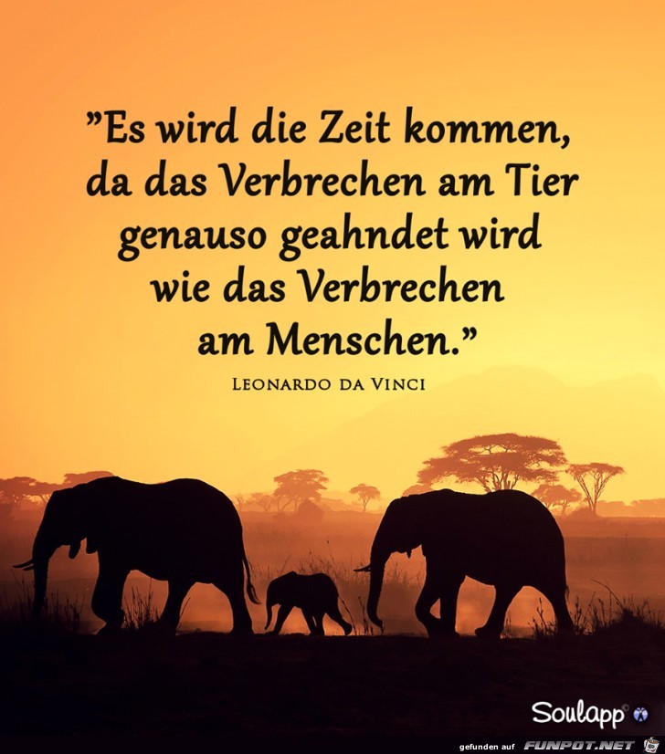 Es wird die Zeit kommen Es wird die Zeit kommen