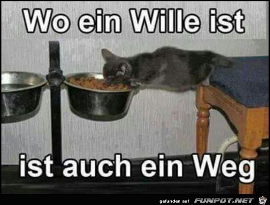 Wo ein Wille ist Wo ein Wille ist