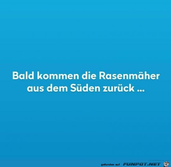 Rasenmäher kommen zurück Rasenmäher kommen zurück