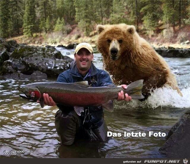 Das letzte Foto Das letzte Foto