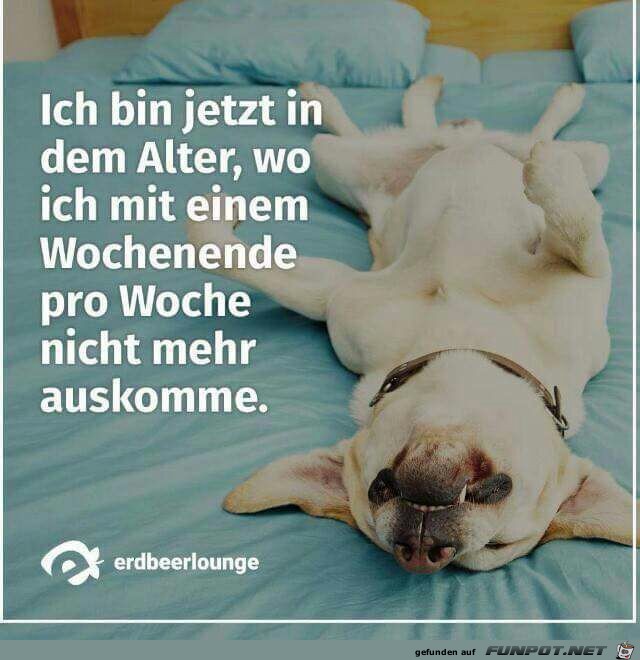 Das Alter Das Alter