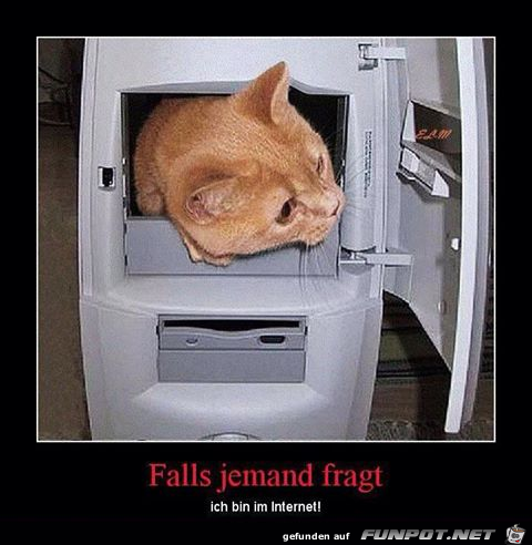 Bin im Internet Bin im Internet