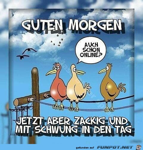 Guten Morgen