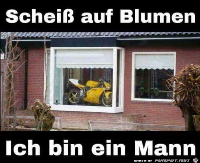 Keine Blumen