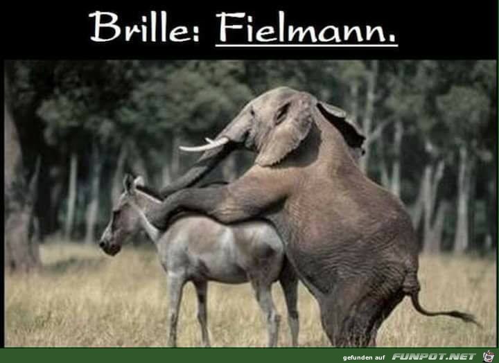 Brille - Fielmann