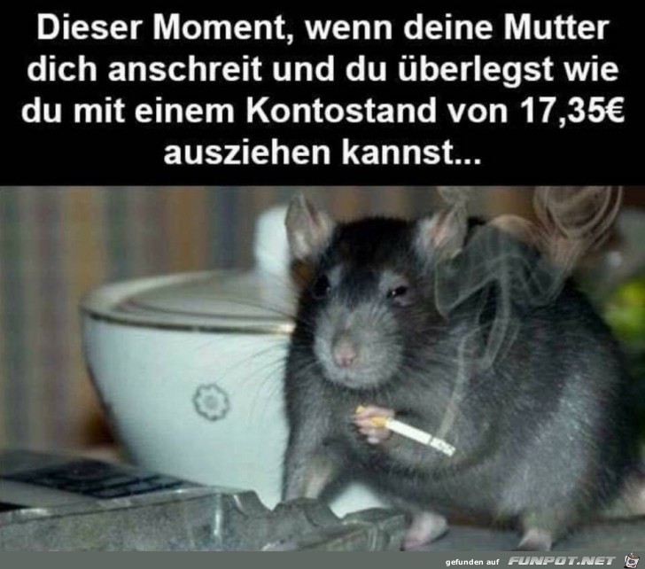 Dieser Moment