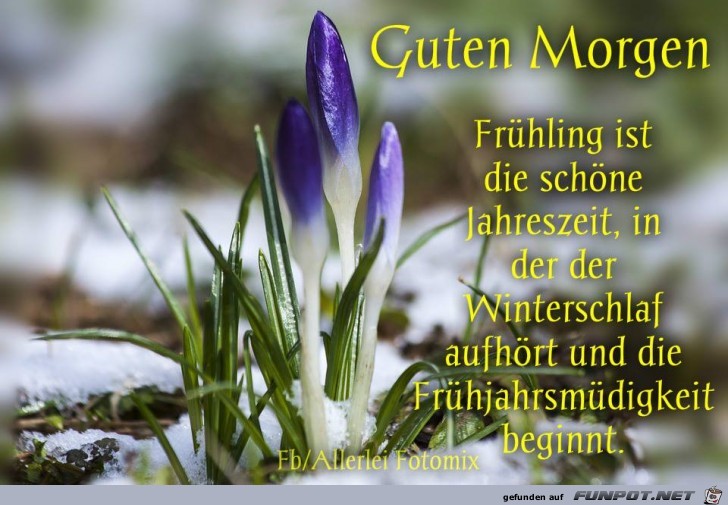Guten Morgen-Fruehling Guten Morgen-Fruehling