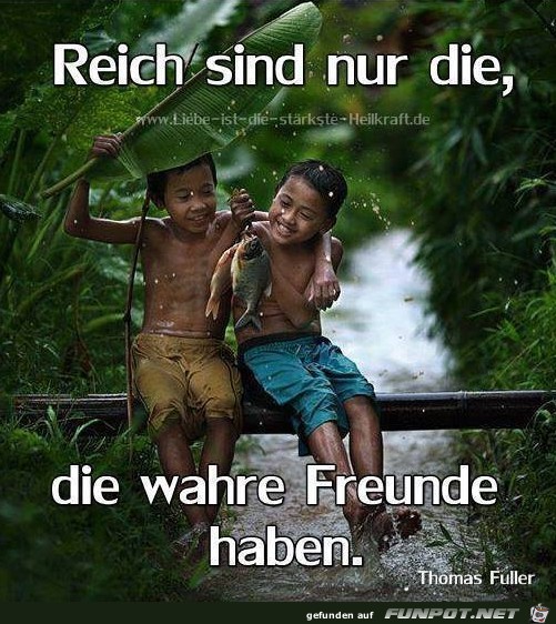 Reich sind nur die Reich sind nur die