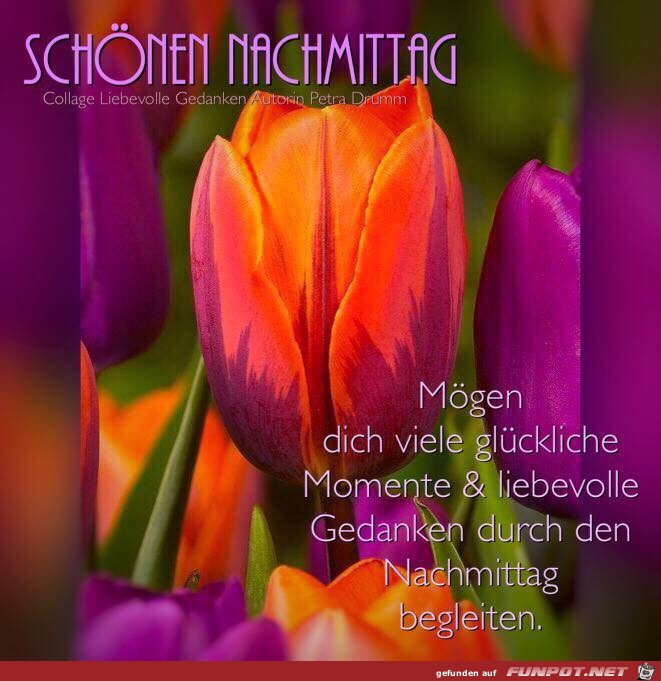 Schoenen Nachmittag Schoenen Nachmittag