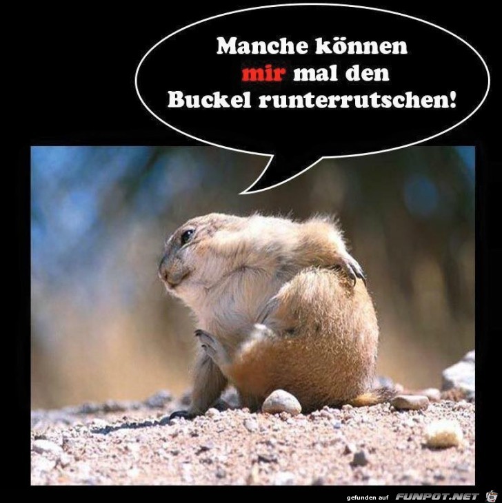 Rutsch mir den Buckel runter