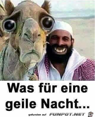 Super Nacht Super Nacht