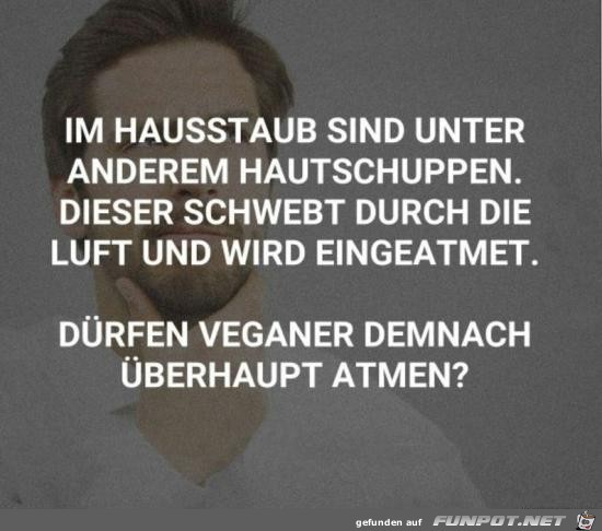 Sinnvolle Frage Sinnvolle Frage