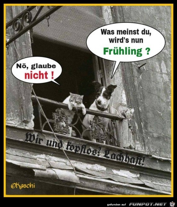 Was meinst du Was meinst du