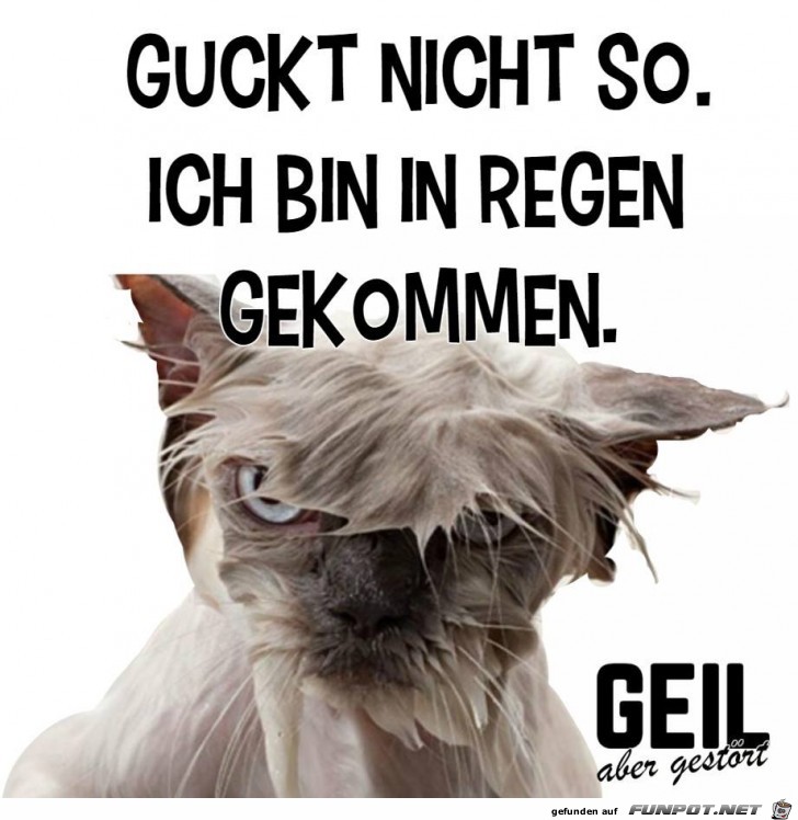Guckt nicht so Guckt nicht so