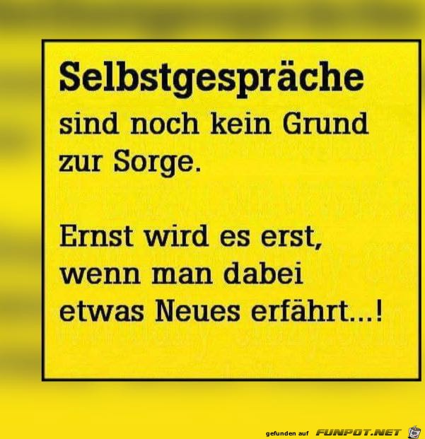 Selbstgesprche