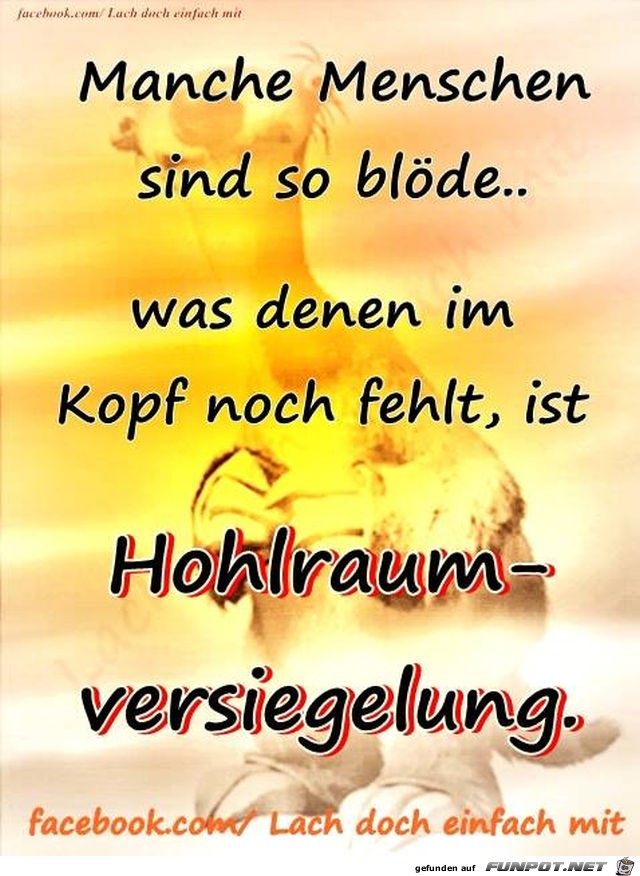 Manche Menschen sind so bloede Manche Menschen sind so bloede