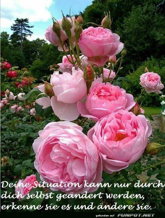 10 schne Sprche und Lebensweisheiten aus...