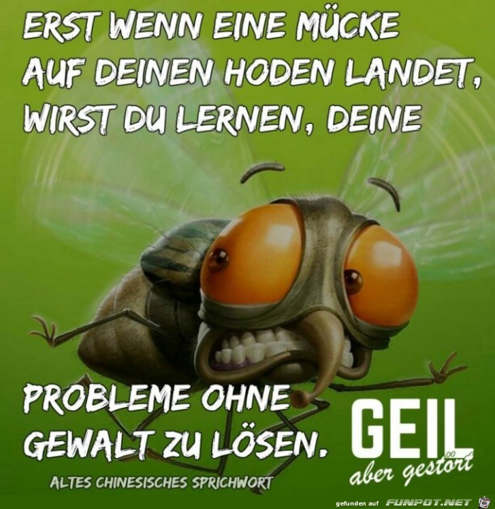 Probleme ohne Gewalt loesen