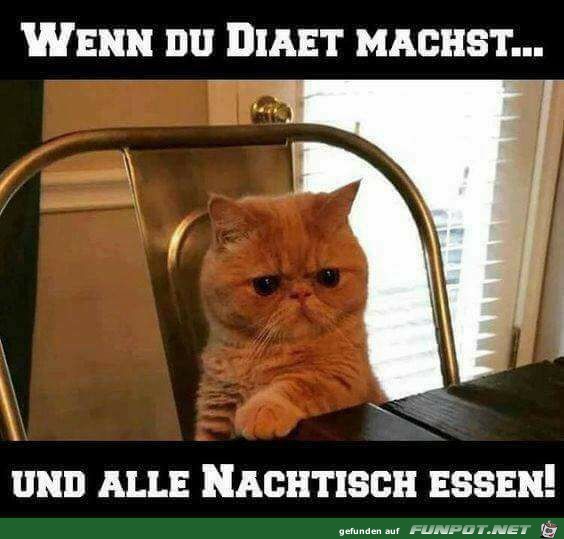 Wenn du Diaet machst Wenn du Diaet machst