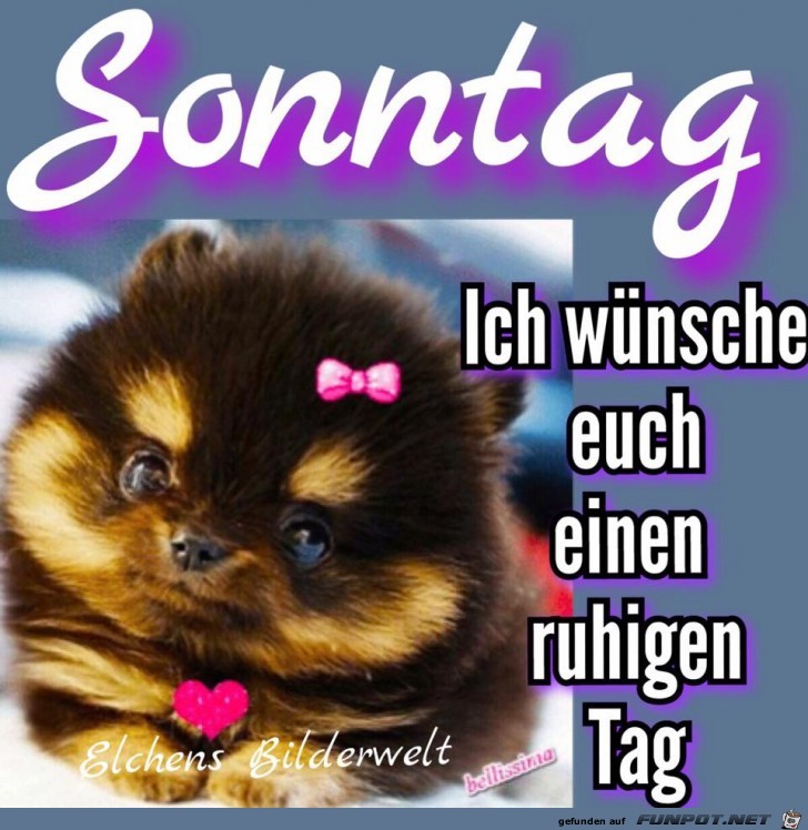 Sonntag Sonntag