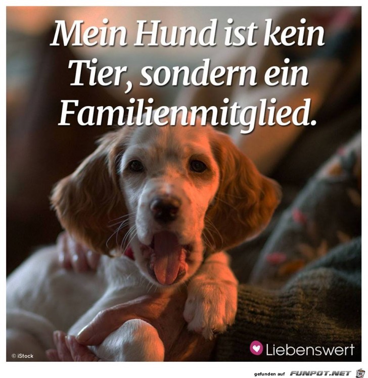 Familienmitglied Familienmitglied