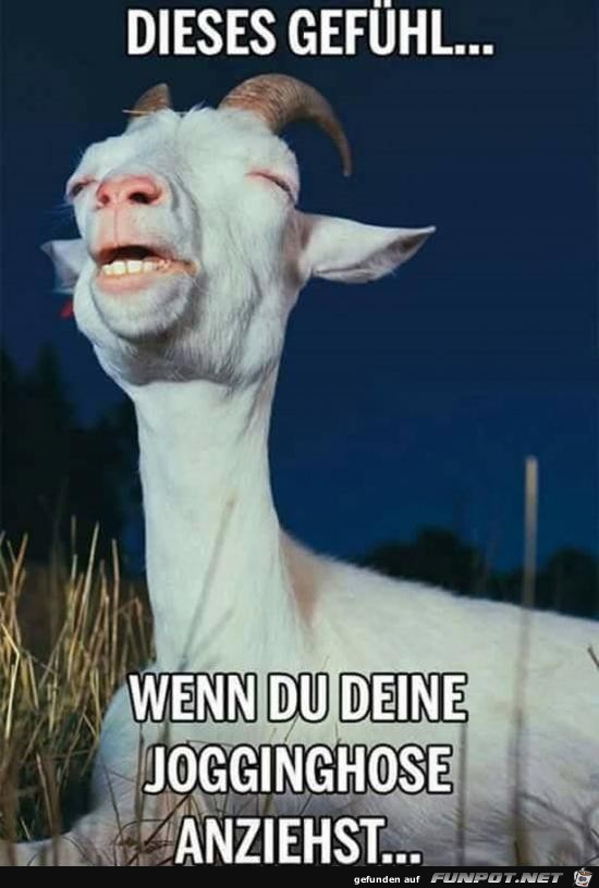 Diese tolle Gefühl Diese tolle Gefühl
