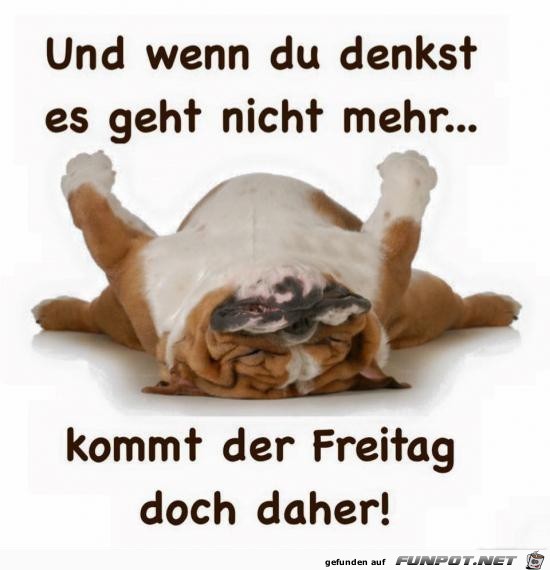 Freitag Freitag