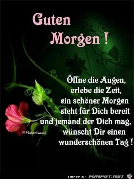 Guten Morgen Guten Morgen