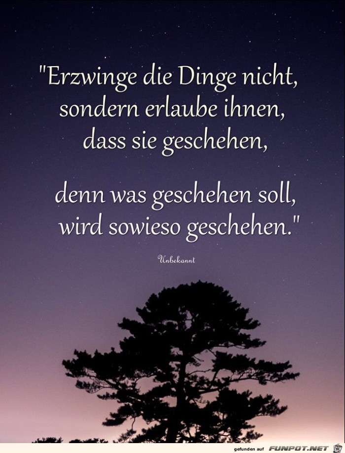 Erzwinge die Dinge nicht Erzwinge die Dinge nicht