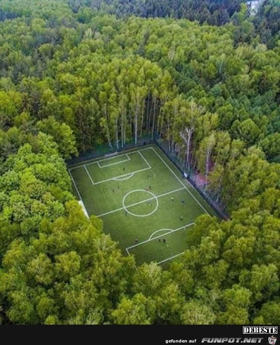 Tolles Versteck für einen Fussballplatz Tolles Versteck für einen Fussballplatz