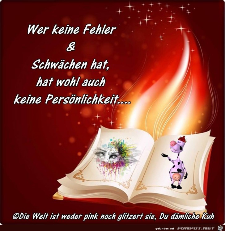 Wer keine Fehler