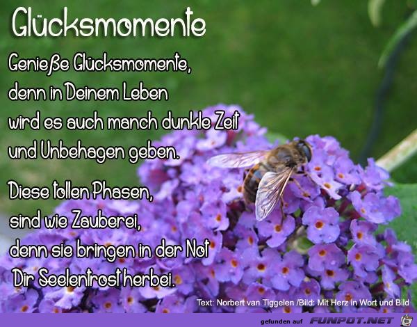 Gluecksmomente