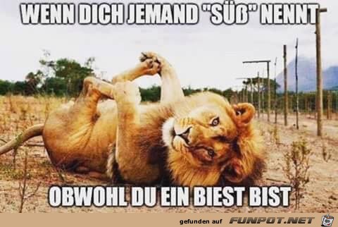 Süß Süß