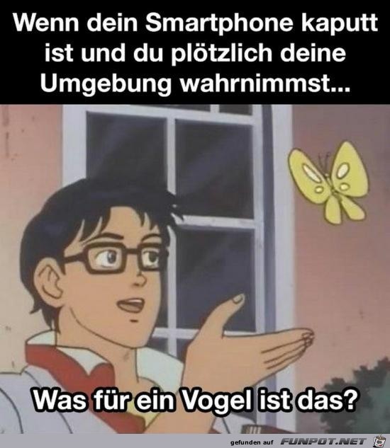 Smartphone ist kaputt Smartphone ist kaputt