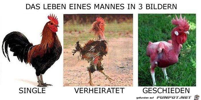 3 bilder das leben eines mannes