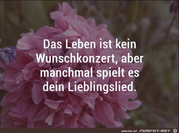 Das Leben ist kein Wunschkonzert Das Leben ist kein Wunschkonzert