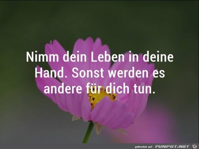 Nimm dein Leben in die Hand