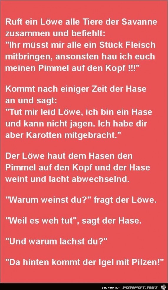 Der Befehl Der Befehl