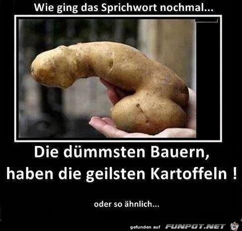 Geile Kartoffel