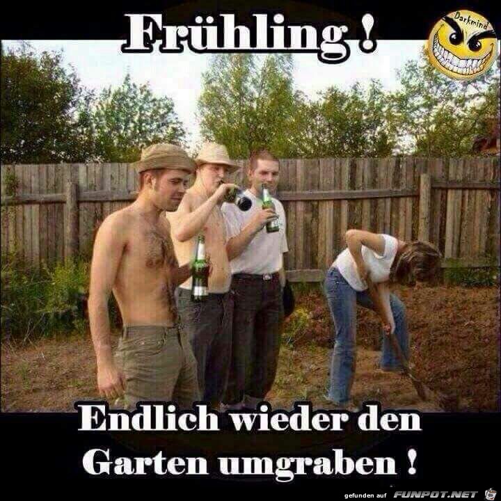 Frühling Frühling